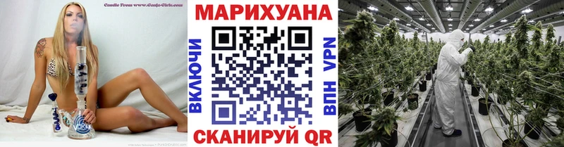 Где купить наркоту Щигры АМФ  Меф  Кокаин  Галлюциногенные грибы  СК 
