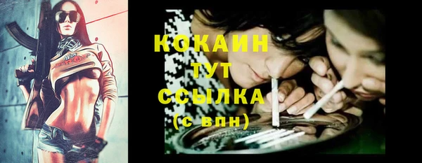 прущие крисы Алзамай