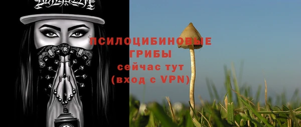 прущие крисы Алзамай