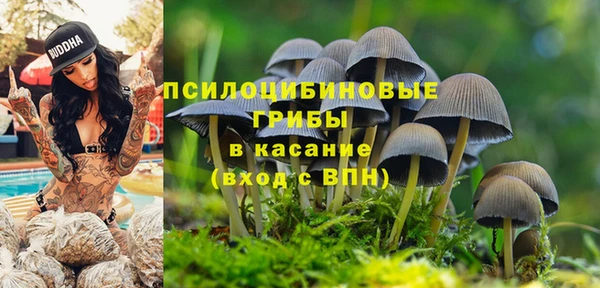 прущие крисы Алзамай