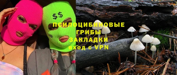 прущие крисы Алзамай
