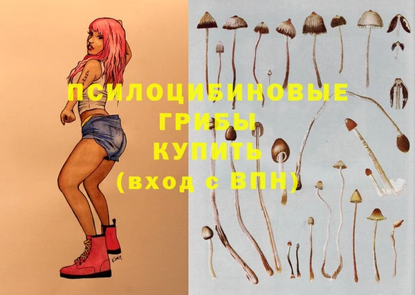 прущие крисы Алзамай